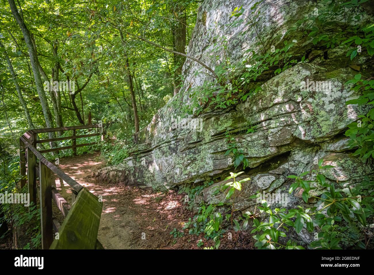 Riverside trail at Island Ford Park within the Chattahoochee River