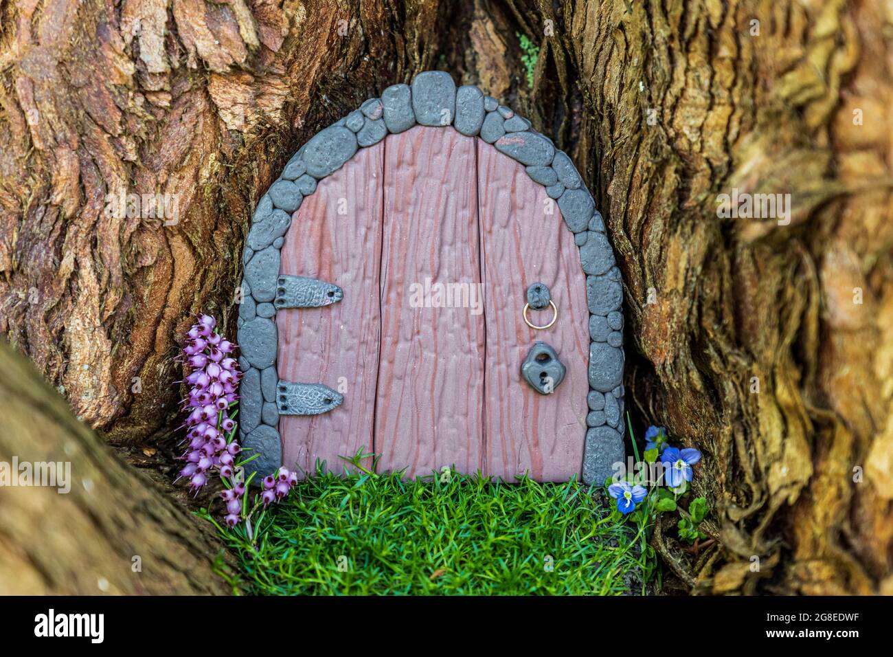 Little fairy tale door made from clay in a tree trunk with purple and blue flowers. Stock Photo