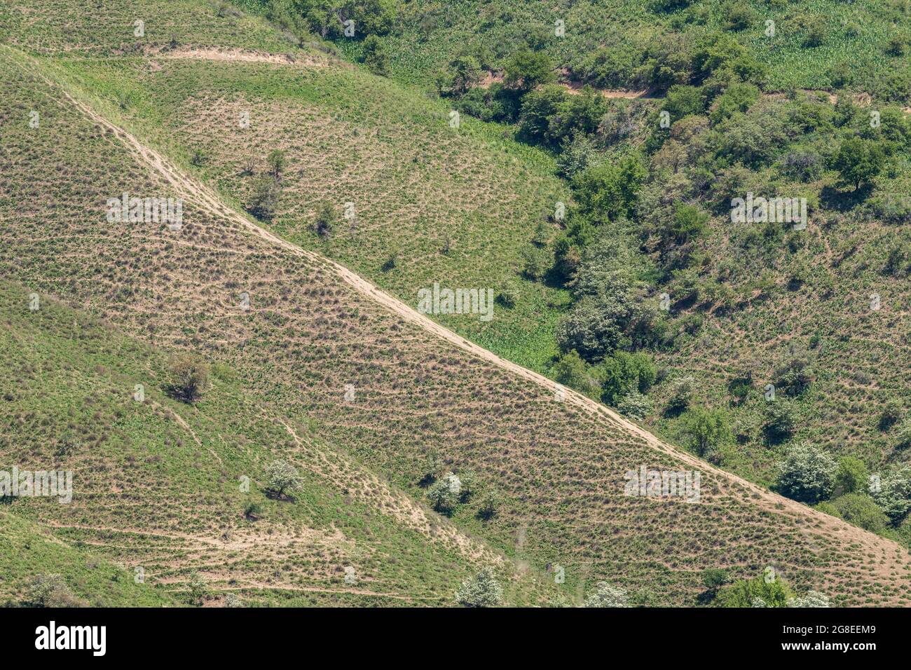 A well-trodden path on the side of a mountain hill among the vegetation. Horizontal direction from top to bottom Stock Photo