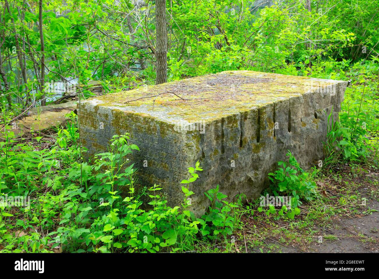 Quarry block, Cedar Valley Park, Cedar County, Iowa Stock Photo Alamy