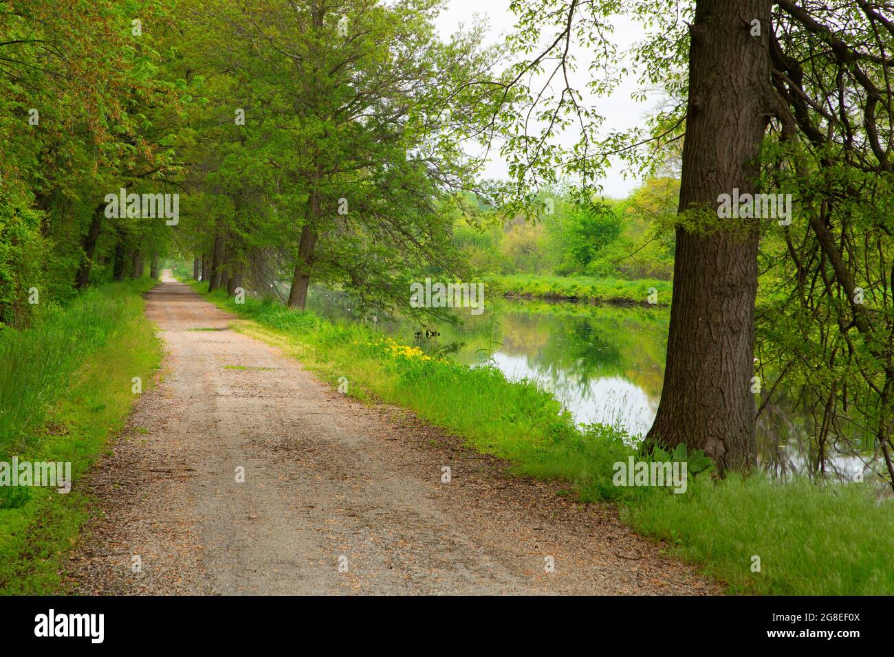 Scenic View on Hennepin Canal Trail