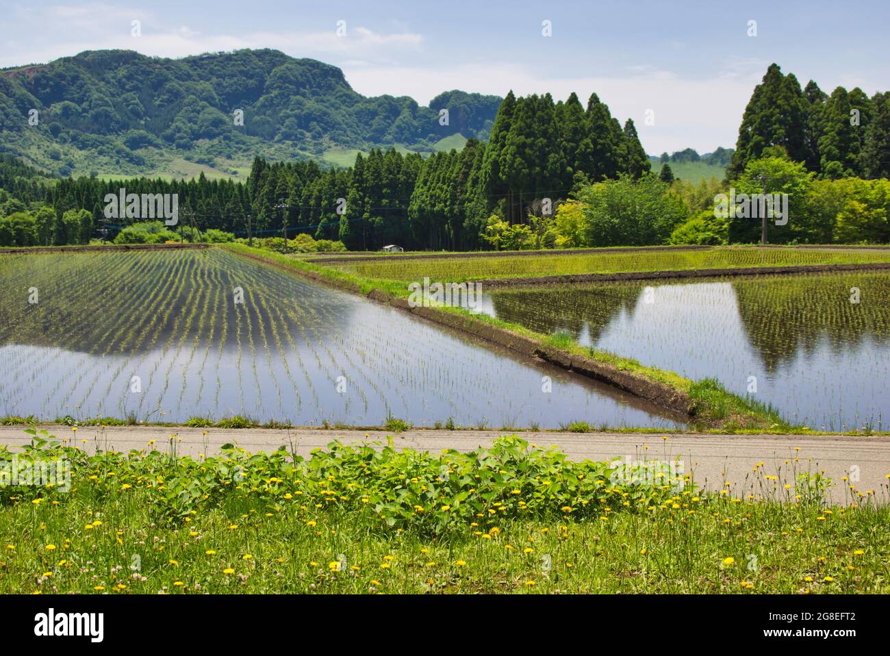 Minamiaso Village In Spring Kumamoto Prefecture Japan Stock Photo Alamy