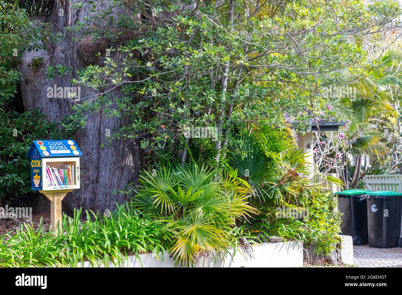 Mini Book Library High Resolution Stock Photography and Images - Alamy