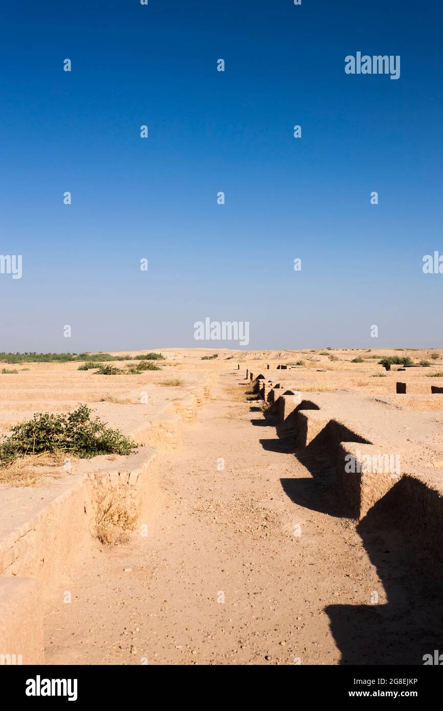 Apadana ruins, archaeological site of Susa(Shush), Achaemenid empire of Persia, Shush, Khuzestan Province, Iran, Persia, Western Asia, Asia Stock Photo