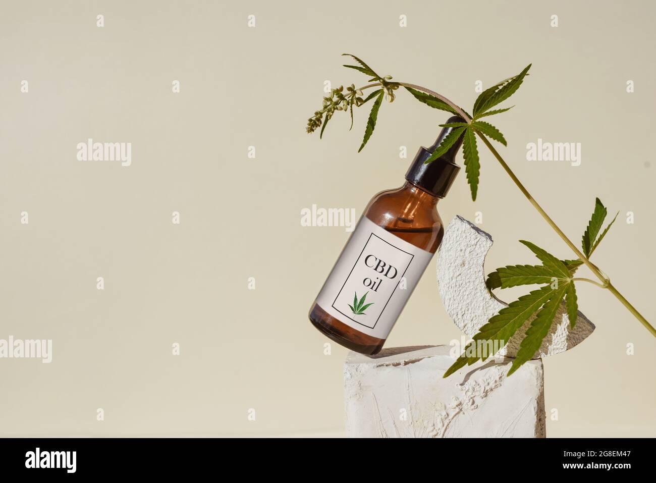 CBD oil in brown bottle with dropper and cannabis branch, hemp on podium Beige background Concept of cosmetics and products with cannabinoid, CBD oil, Stock Photo