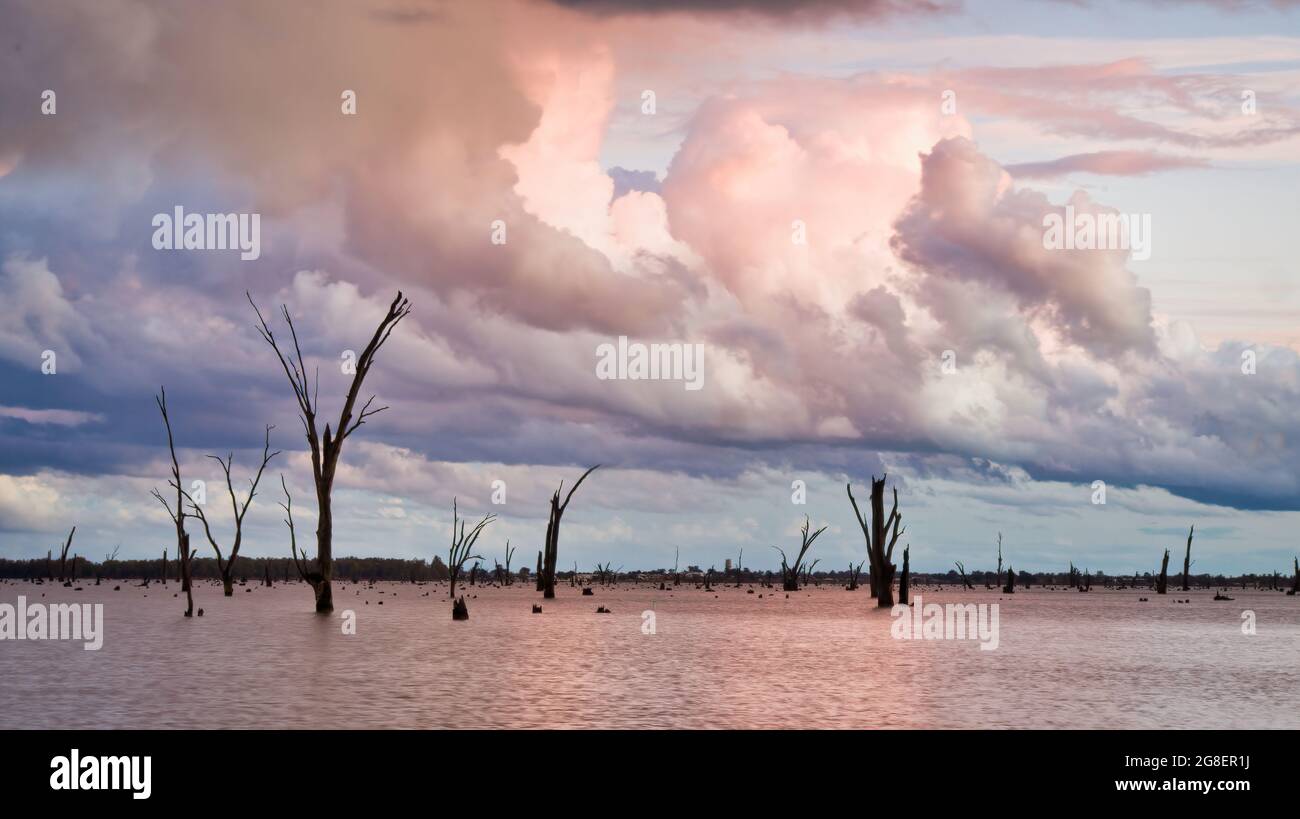 Storm clouds rolling over dead trees in Lake Mulwala Stock Photo