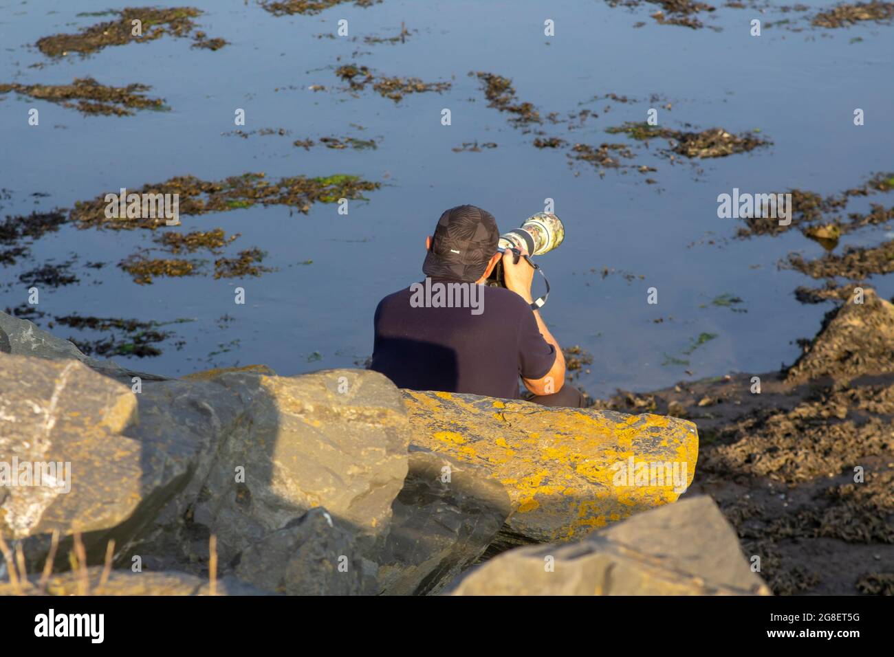 19 July 2021 A man taking photographs of bird life with a hand held long range telephoto lens at the floodgates walk on Strangford Lough in Newtownard Stock Photo