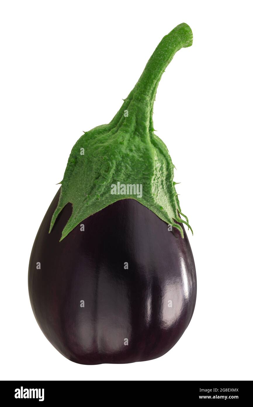 Eggplant or aubergine (Solanum melongena fruit), whole, isolated Stock