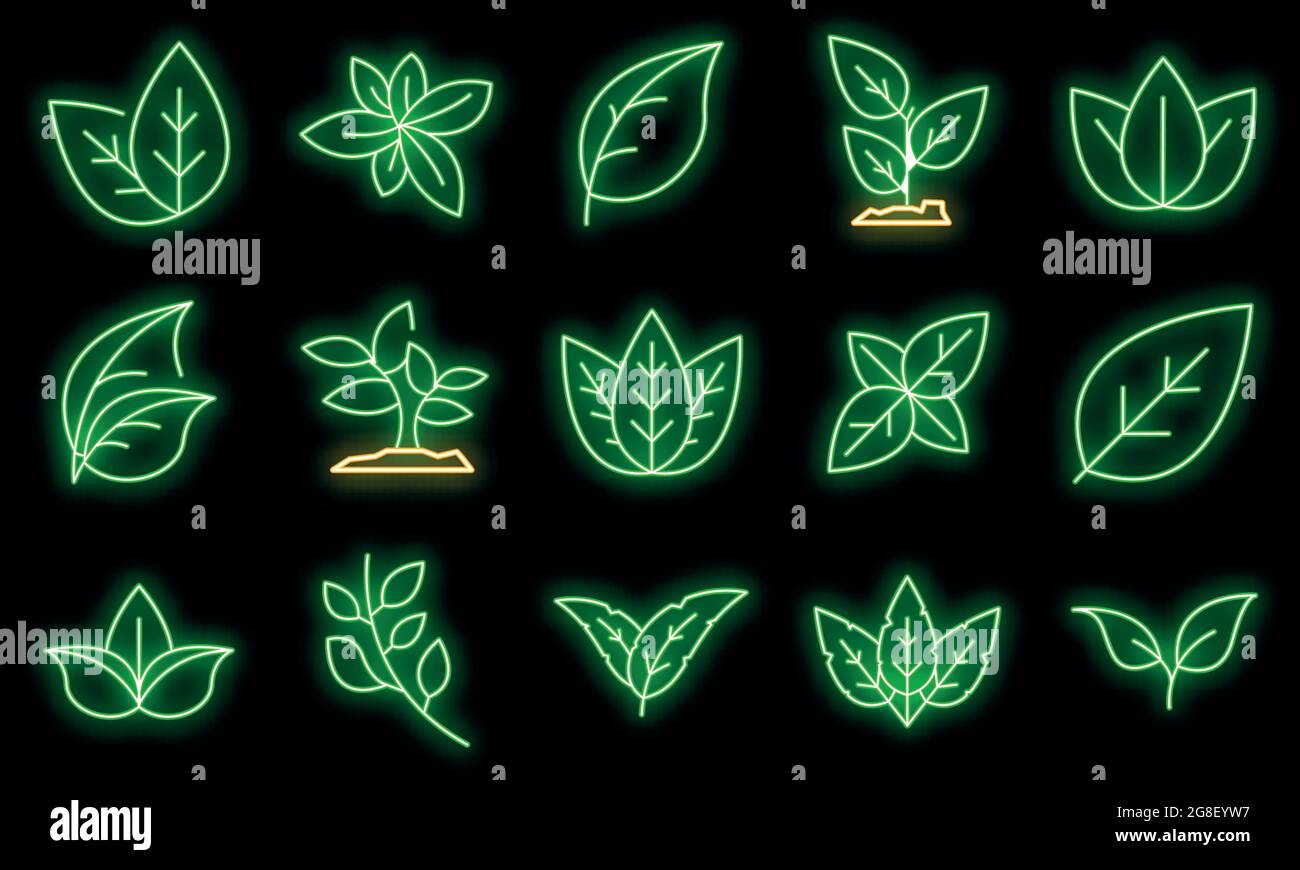 Basil icons set. Outline set of basil vector icons neon color on black ...