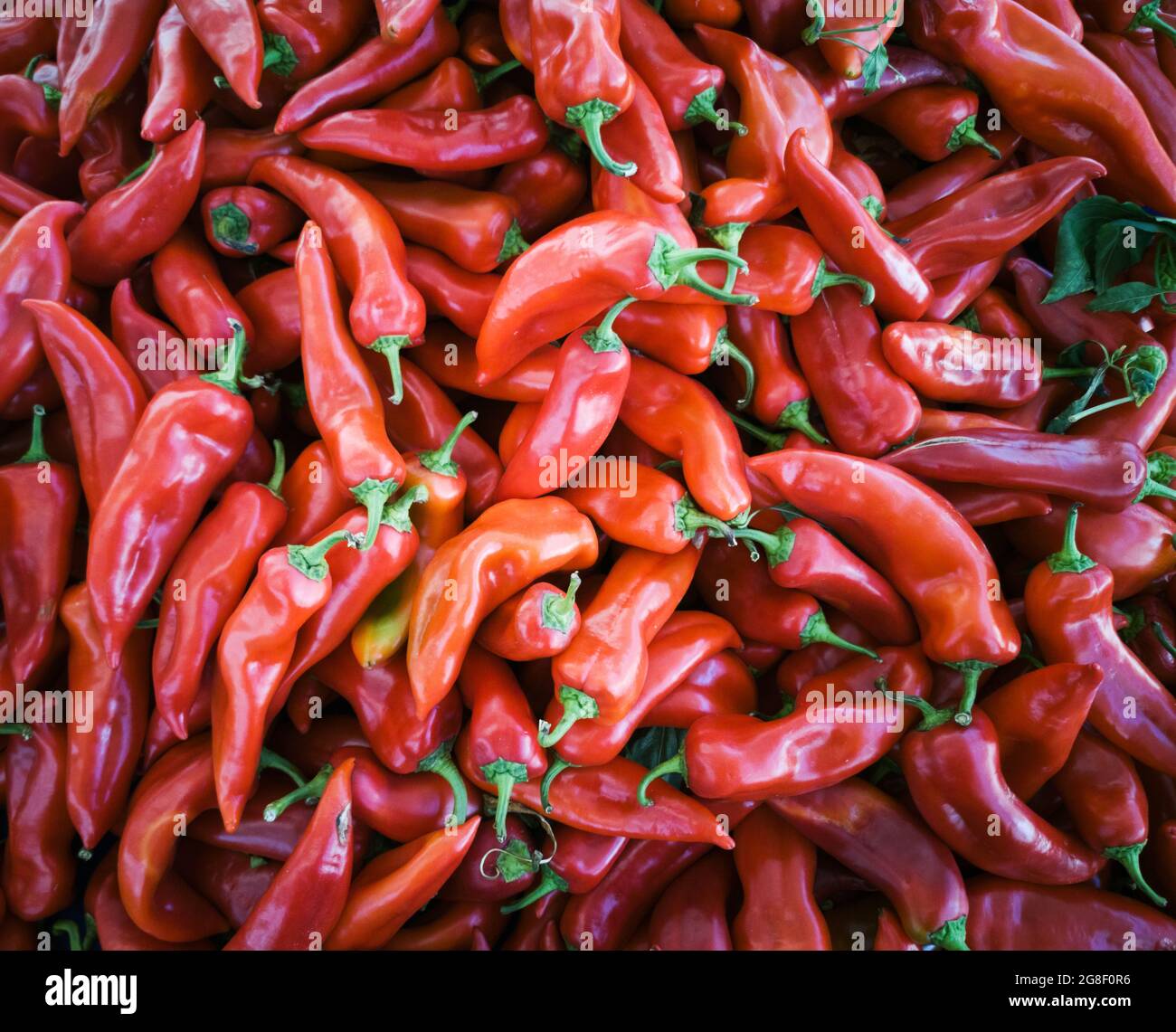Red peppers at a market Stock Photo - Alamy
