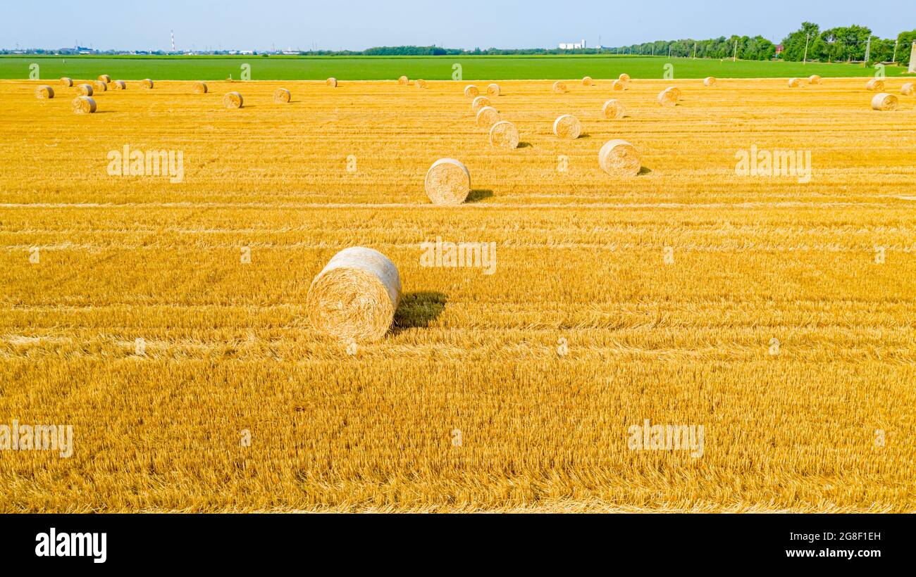 Above view of agricultural field with round bales of straw, after ...