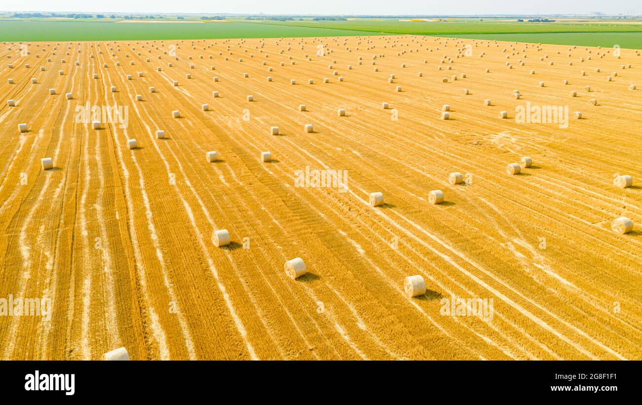 Above view of agricultural field with round bales of straw, after ...