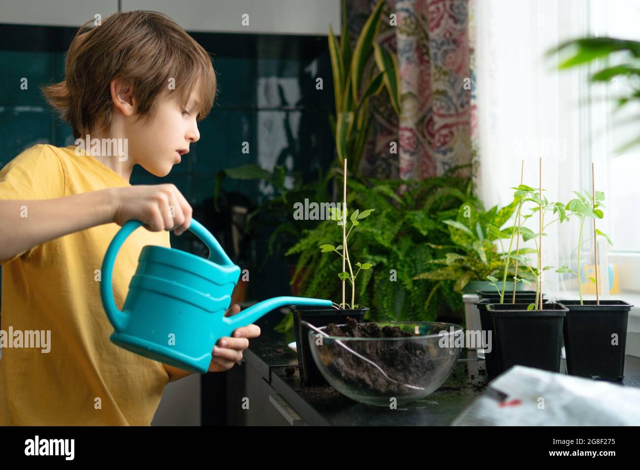 Child watering flowers hires stock photography and images Alamy