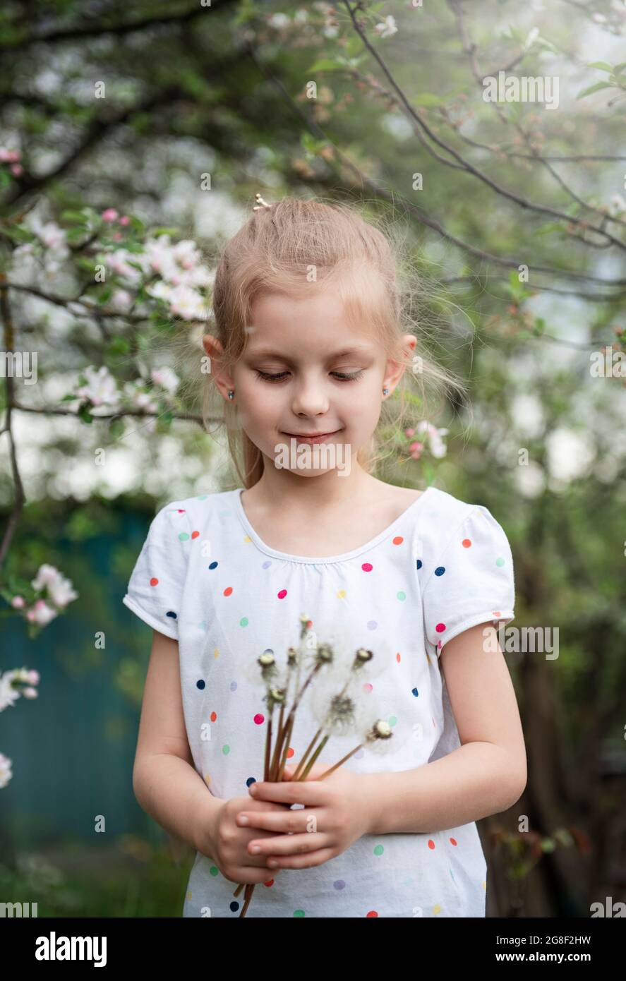 Little girl in a spring garden with white dandelions in her hands Stock ...