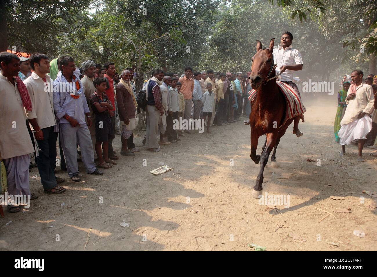 Horses are exhibited for sale at Sonpur fair, the largest animal selling fair in Asia. The fair is more than thousand years old. Stock Photo