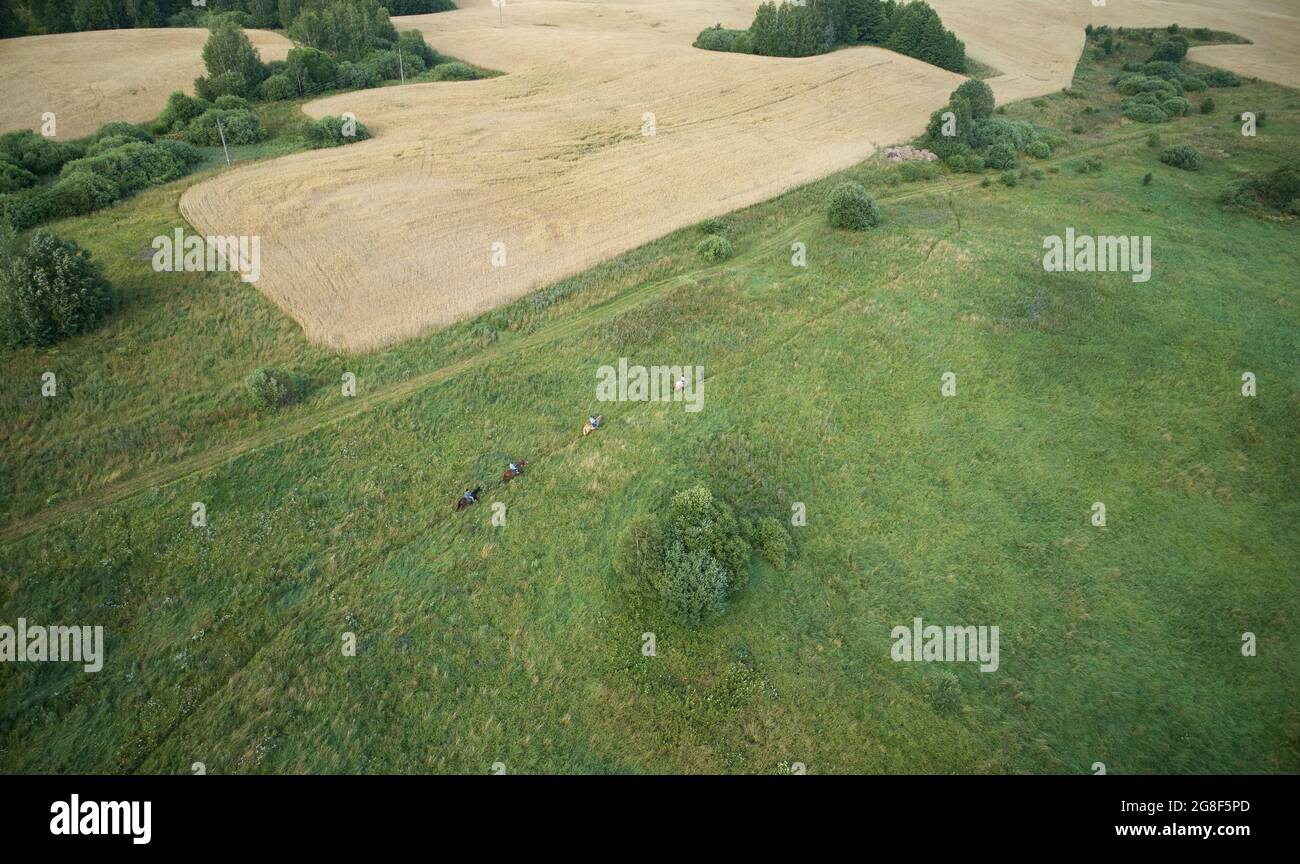 Horse ride in wild landscape aerial above view Stock Photo