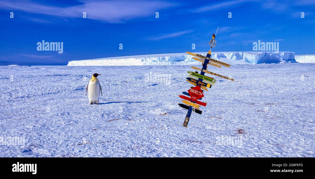 Emperor penguin (Aptenodytes forsteri) beside a German Signpost on the ice, Drescher Inlet Iceport, Queen Maud Land Coast, Weddell Sea, Antarctica Stock Photo