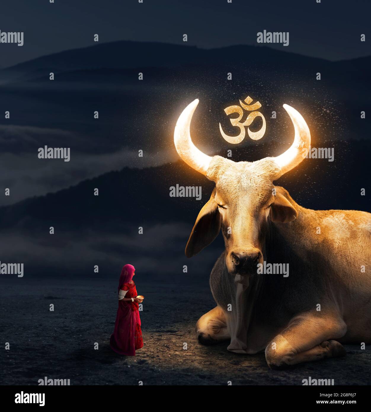 Woman in red sari worships big Holy Cow with glowing horns and Om symbol in Rajasthan, India Stock Photo