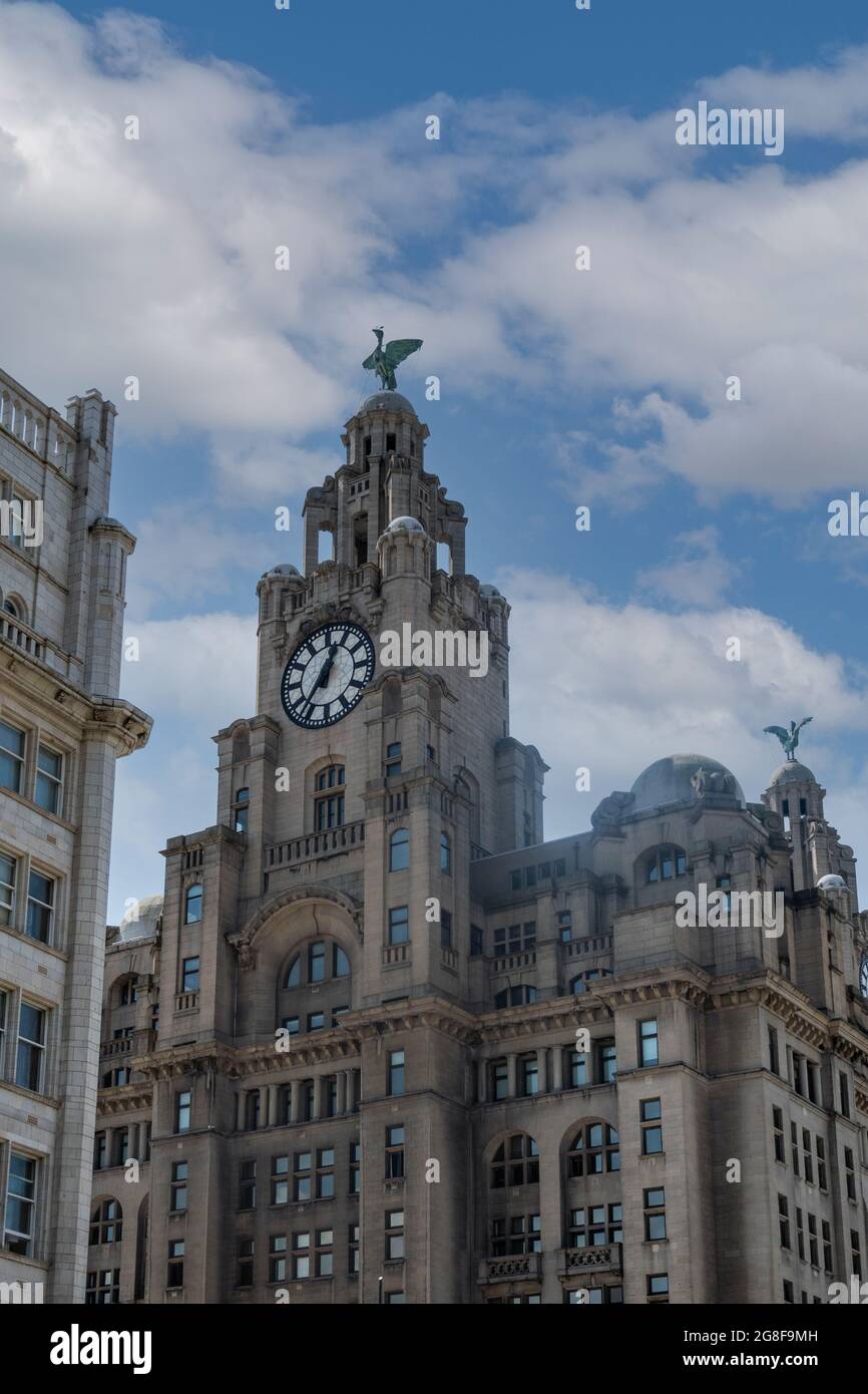 The Royal Liver Building in Liverpool, and opened in 1911, one of the Three Graces. Statues of mythical liver birds Bella and  Bertie on clock towers Stock Photo