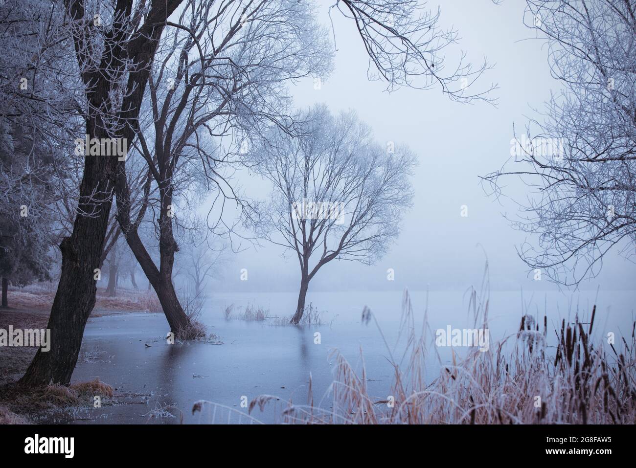 Frozen with fear hi-res stock photography and images - Alamy