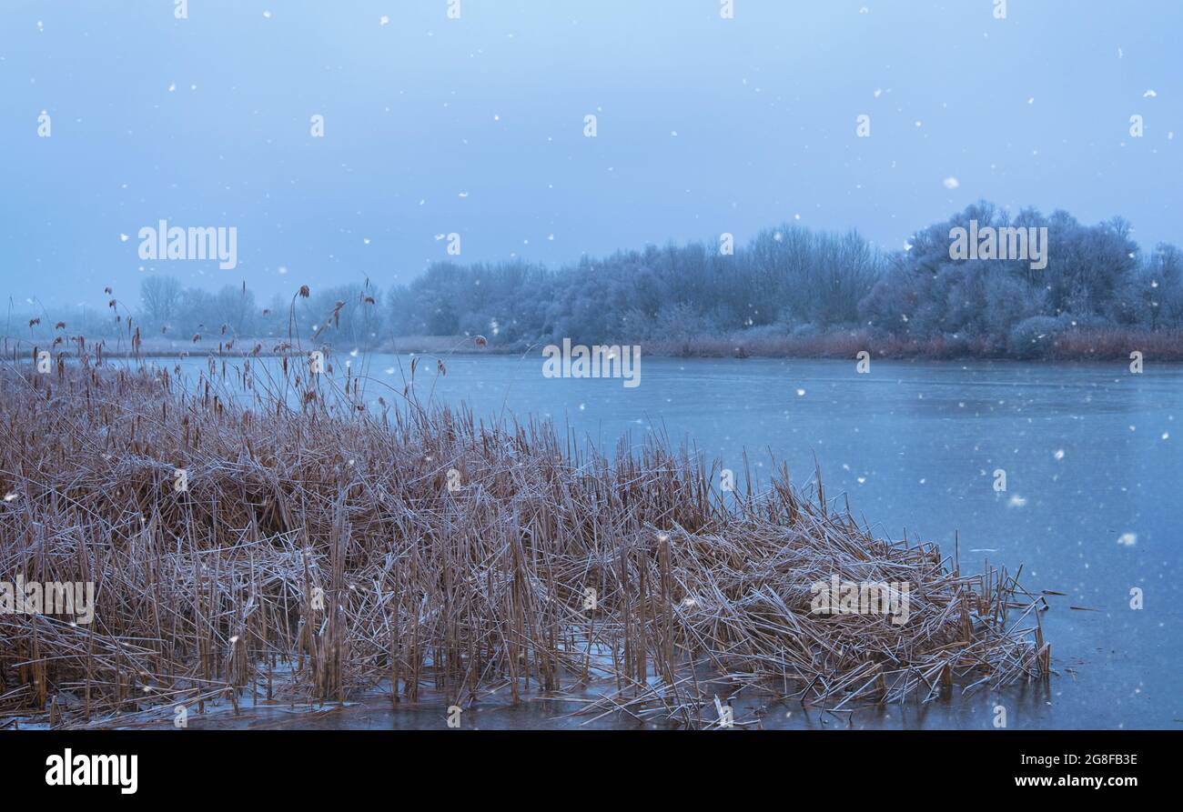 Winter grass rime winters hi-res stock photography and images - Alamy