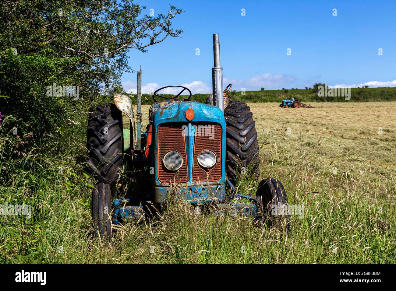 Fordson Super Major Tractor,turning hay with old tractor, fordston tractor,Fordson Stock Photo