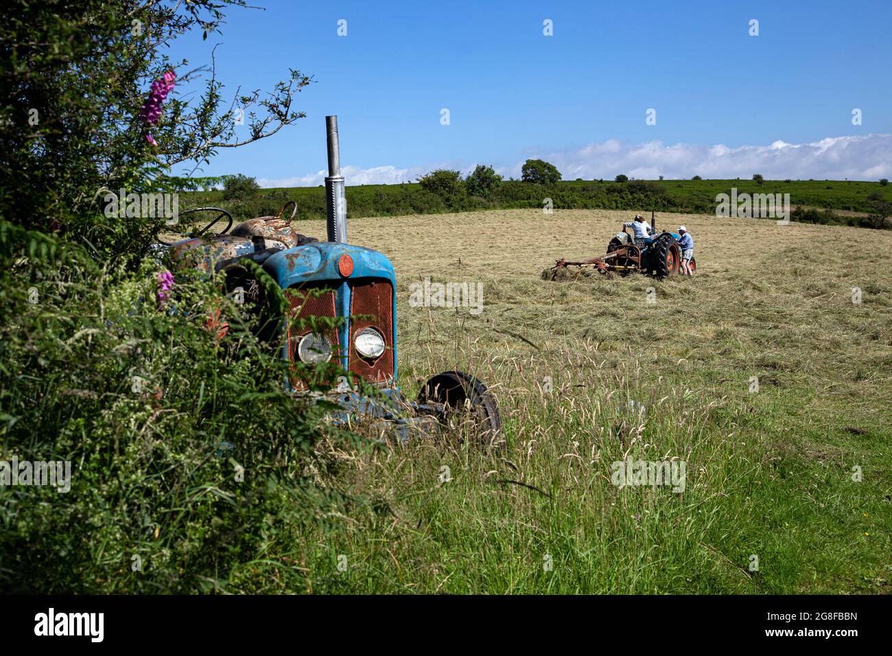 Fordson Super Major Tractor,turning hay with old tractor, fordston tractor,Fordson Stock Photo
