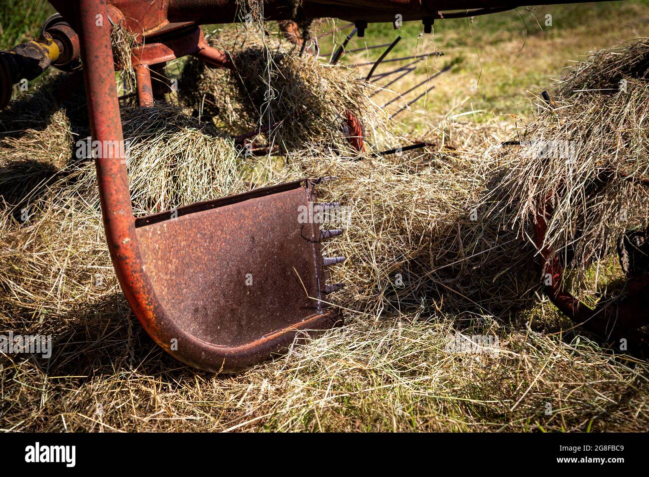 Fordson Super Major Tractor,turning hay with old tractor, fordston tractor,Fordson Stock Photo