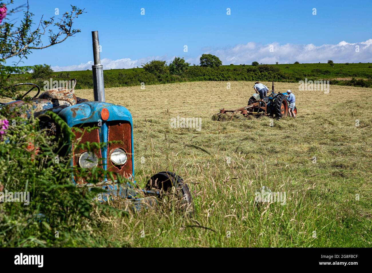 Fordson Super Major Tractor,turning hay with old tractor, fordston tractor,Fordson Stock Photo