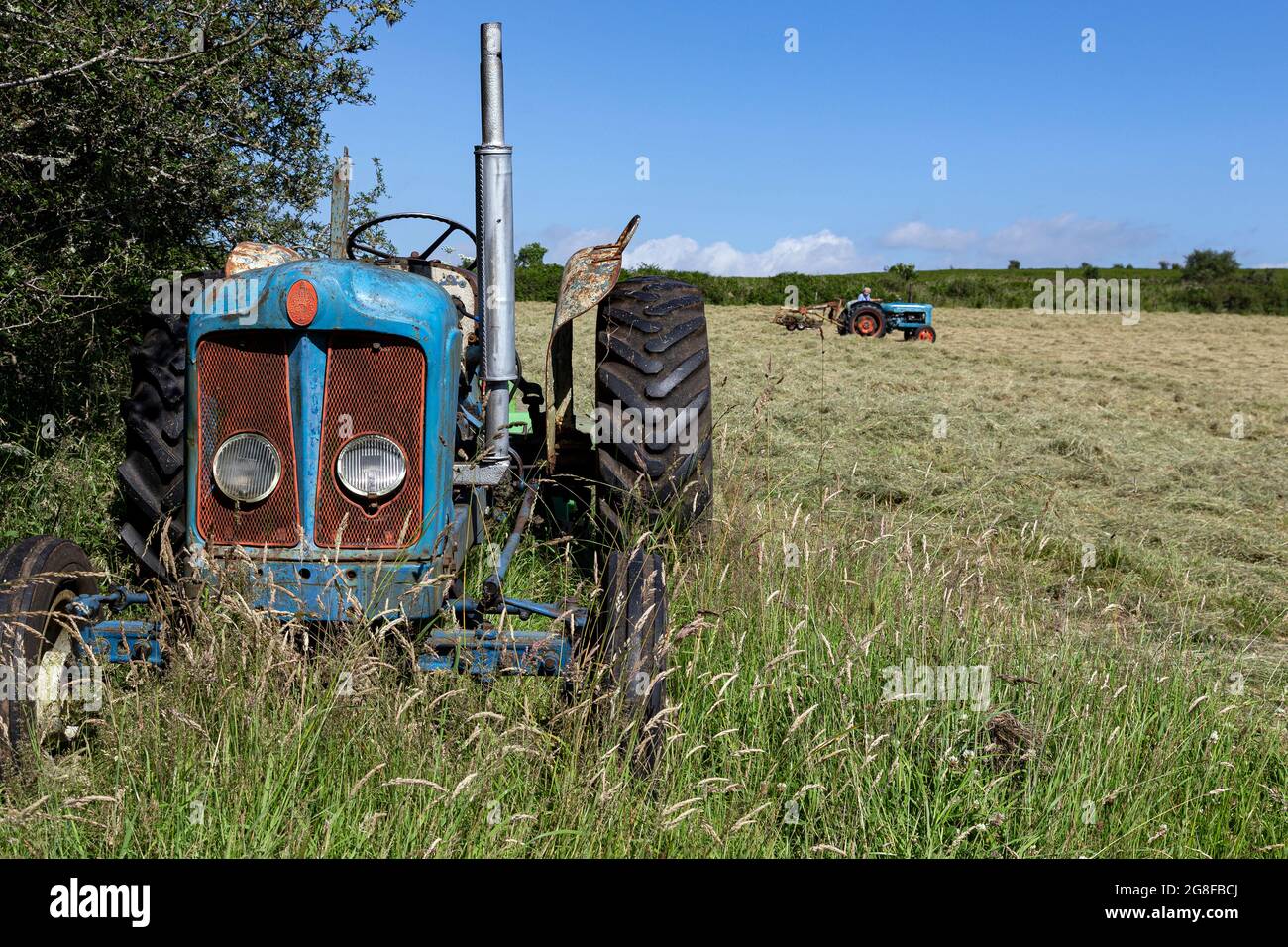 Fordson Super Major Tractor,turning hay with old tractor, fordston tractor,Fordson  plow,old tractor, fordston tractor,Fordson Super Major Tractor,tur Stock Photo