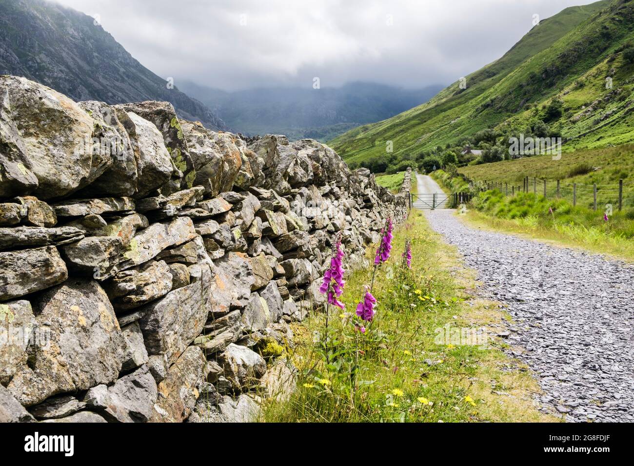A country track with dry stone wall in Nant Ffrancon valley in mountains of Snowdonia National Park. Ogwen Bethesda Gwynedd North Wales UK Britain Stock Photo