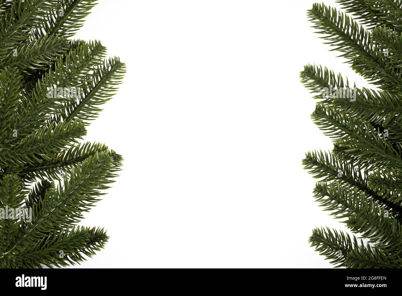frame made of artificial fir branches on a white background, with a