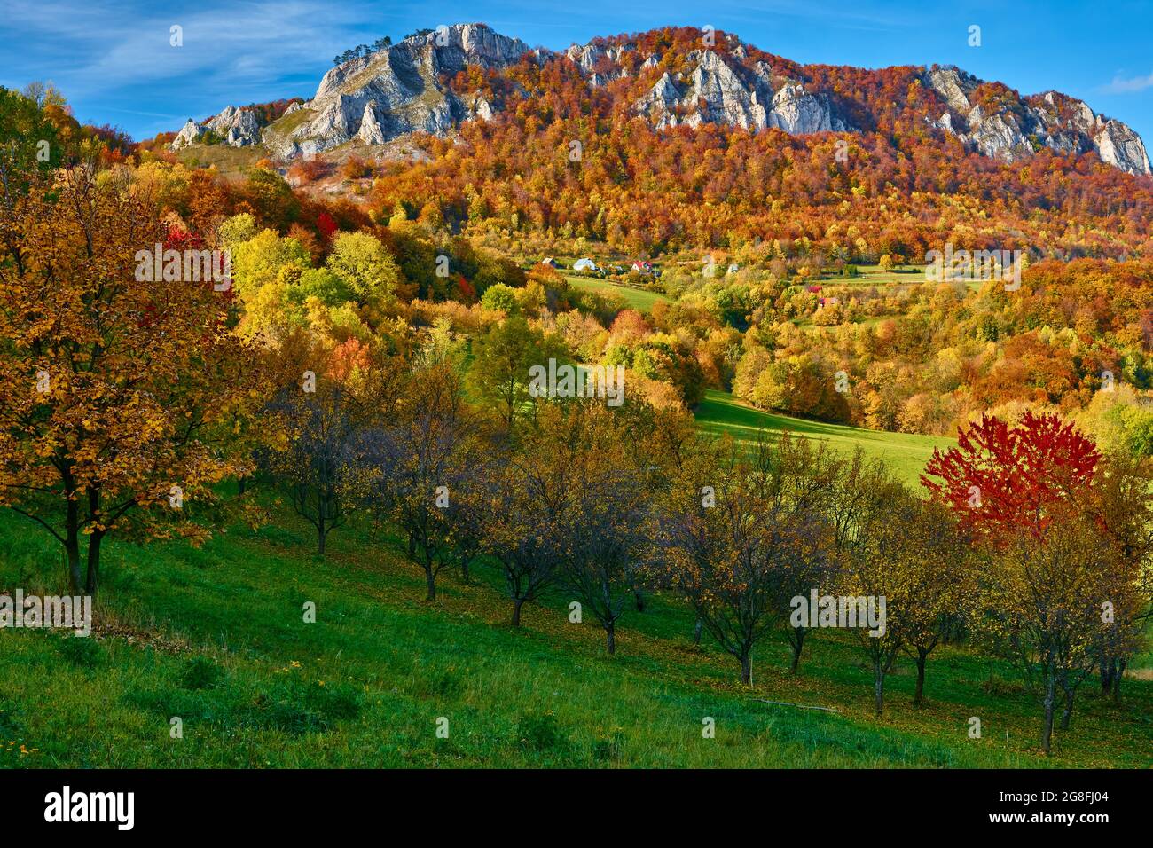 Autumn mountain landscape with a large rock and colorful leaves of trees.  With long shadows. View of the valley. Protected area Vrsatec, Slovakia. Stock Photo