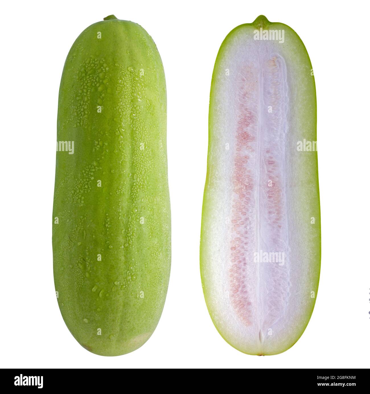 Wax Gourd isolated on white background Stock Photo Alamy