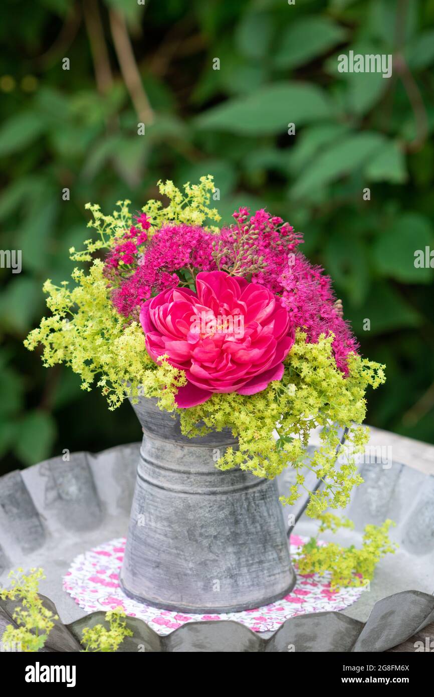 romantic bouquet of pink rose, lady´s mantle and japanese spiraea in vintage jug Stock Photo