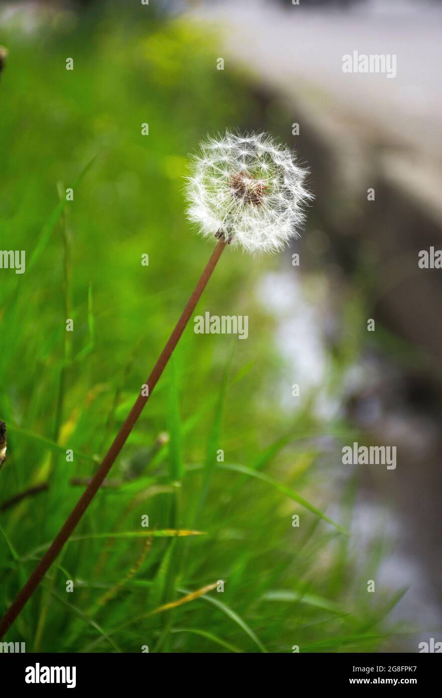 Beauty full nature hi-res stock photography and images - Alamy