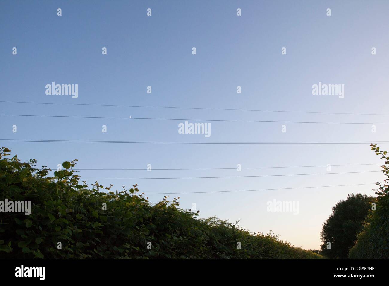 Rotherfield, East Sussex, 16 July 2021: The moon appears to balance on telephone wires in a dusky blue sky above high hedgerows on a country lane.  An Stock Photo