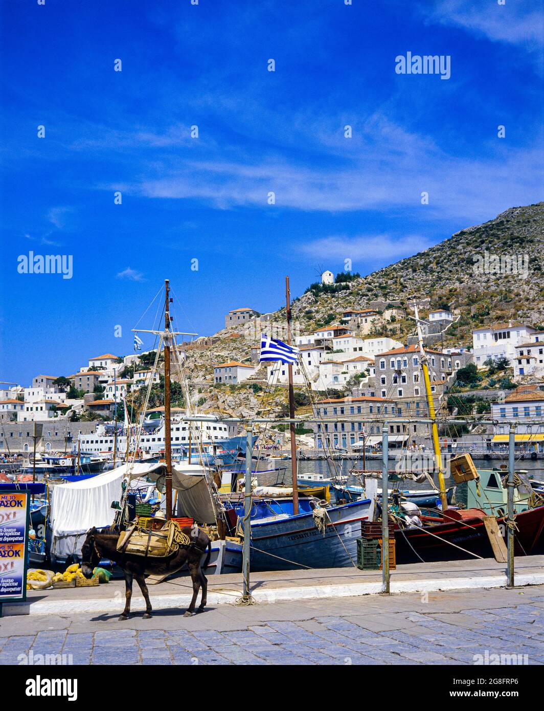 Hydra island harbour, moored fishing boats, mule, terraced houses, Saronic gulf, Greece, Europe, Stock Photo