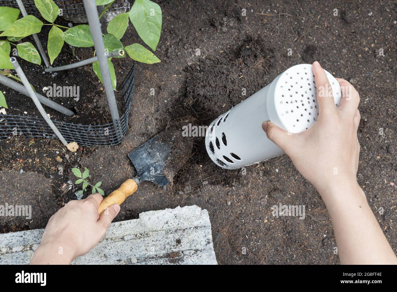 Person installing worm tower into soil in garden for organic composing Stock Photo