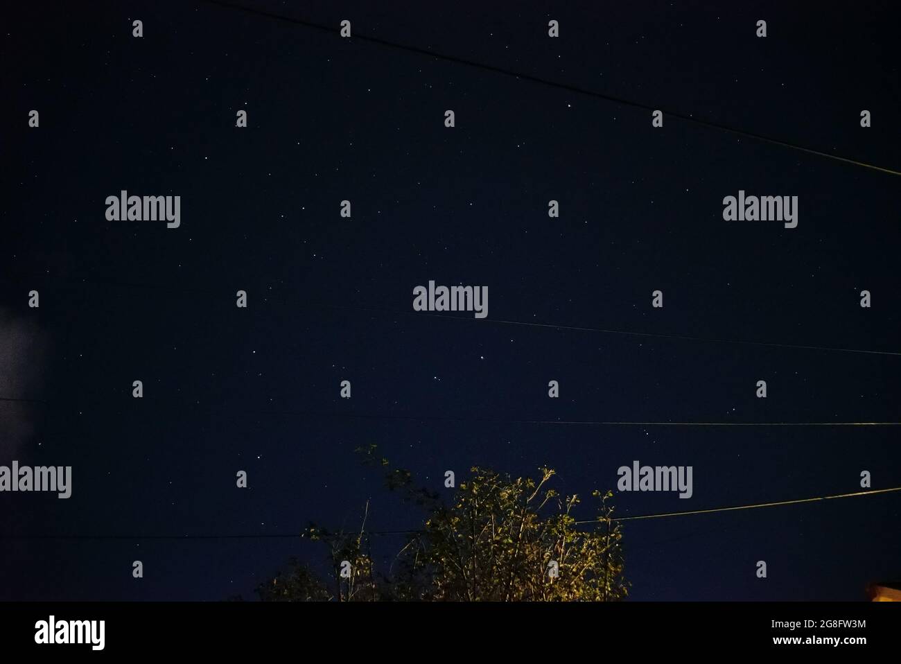 Stars in the night sky with the top of a tree showing Stock Photo