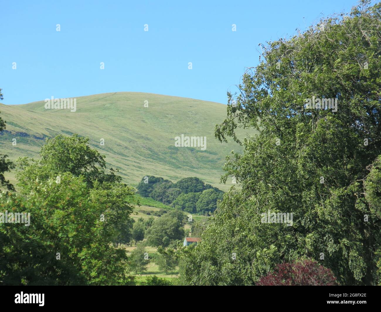 The beautiful scenery of the Ochil Hills surrounds the little town of