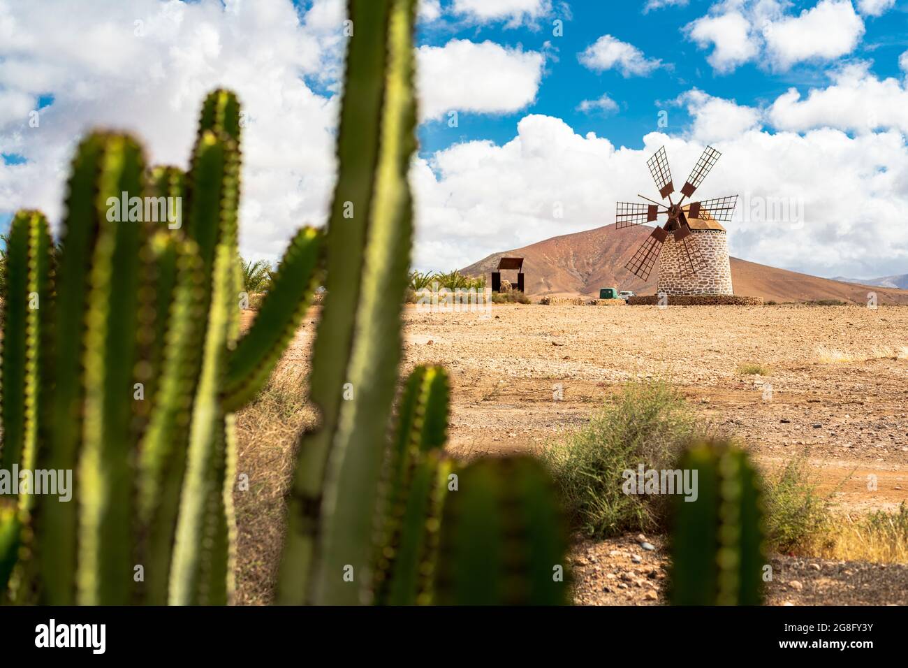 Stone traditional windmill framed by cactus, Tefia, Fuerteventura, Canary Islands, Spain, Atlantic, Europe Stock Photo