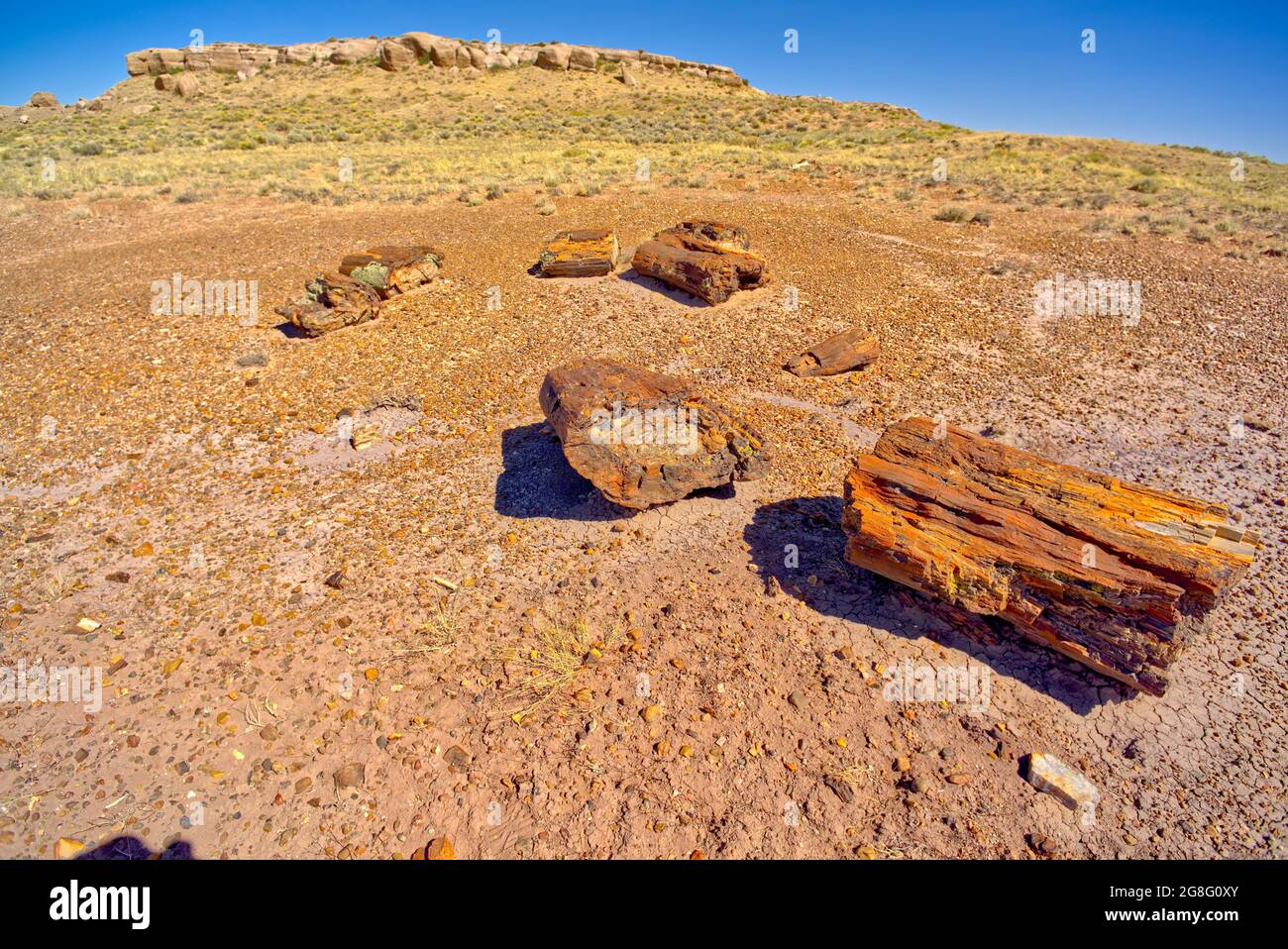 Formation called Agate Mesa, viewed from a group of petrified wood in the foreground, Petrified Forest National Park, Arizona, USA Stock Photo