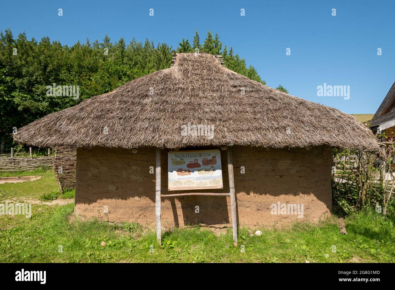 Neolithic, new stone age thatched house or building, reconstructed at Butser Ancient Farm open-air archeological museum in Hampshire, England, UK Stock Photo