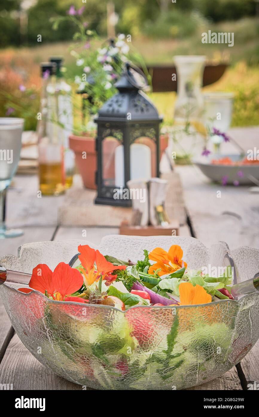 Outdoor dining with colourful salad bowl on a rustic wooden table in the countryside Stock Photo