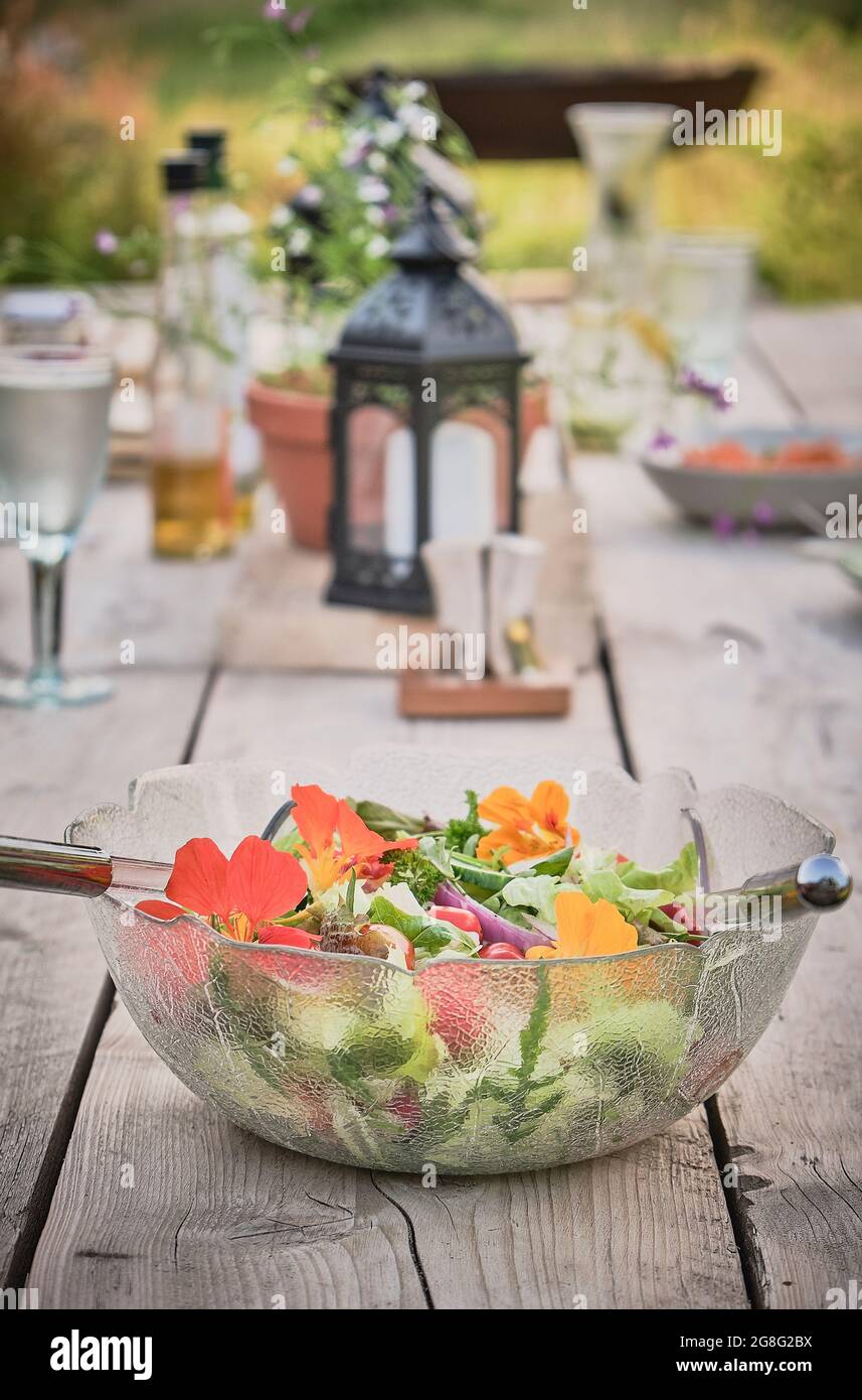 Outdoor dining with colourful salad bowl on a rustic wooden table in the countryside Stock Photo