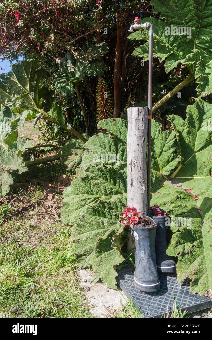 Garden decoration made of rubber boots Stock Photo Alamy