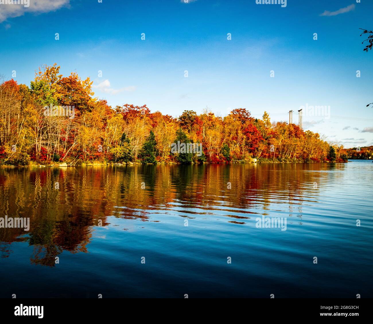 beautifull colours of the changing seasons Stock Photo
