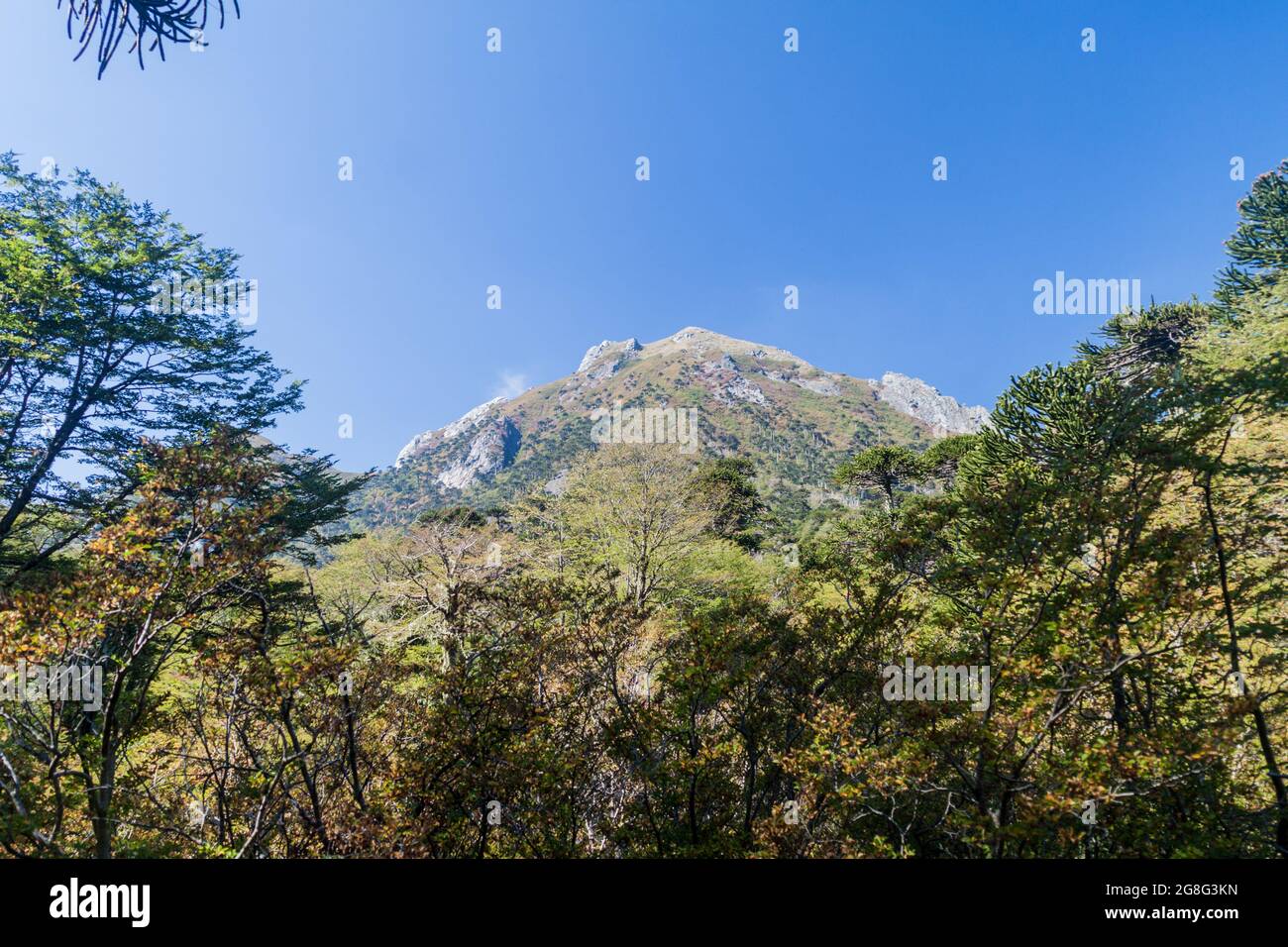 Countryside of national park Huerquehue, Chile Stock Photo