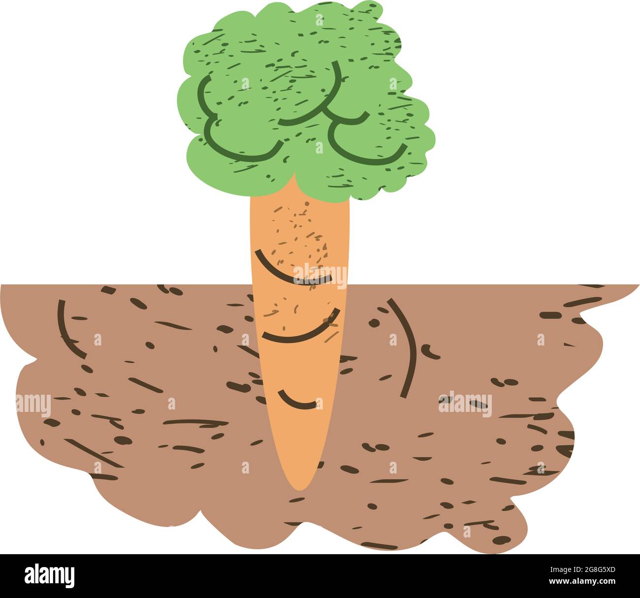 carrot in the ground Stock Vector Image & Art Alamy